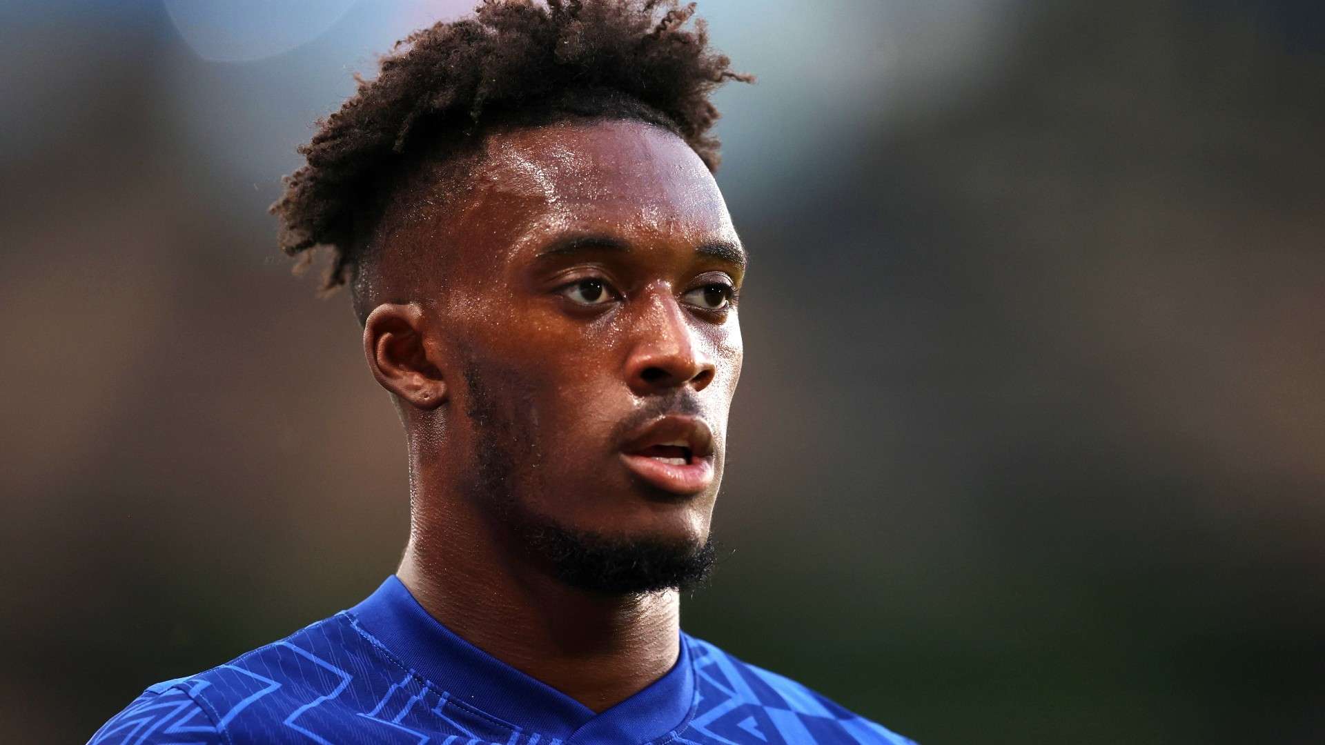 努力以多样 努力以多样